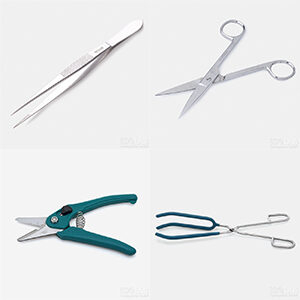 Forceps, Scissors & Tongs